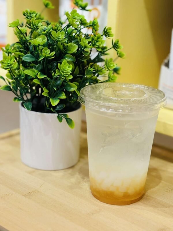 Fruit Soda 16oz